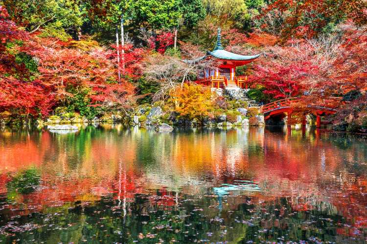 daigoji temple in autumn, kyoto, japan