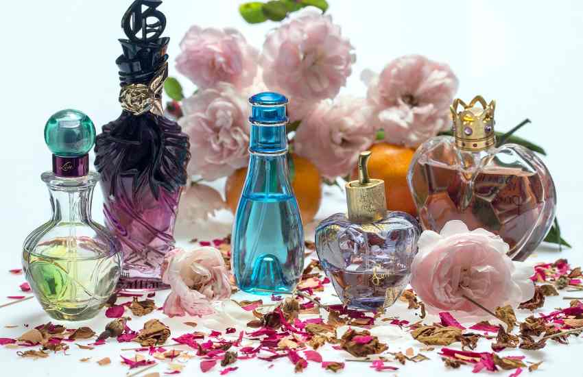 Top 7 Perfume Brands for Women in 2024